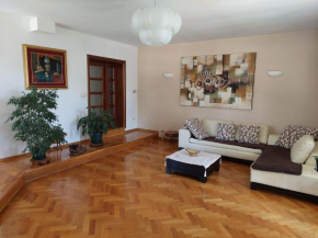 Luxury Home Cetinje